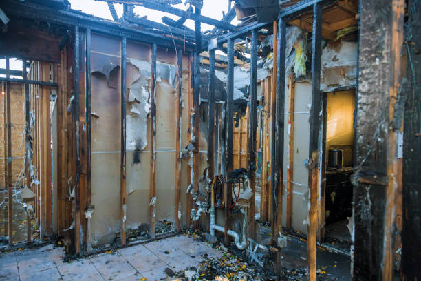 Professional Fire Damage Removal technician working in Chelsea, AL